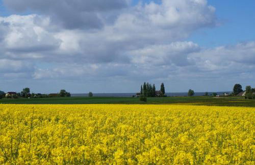 Ferienhaus Boddenhus - Foto 13