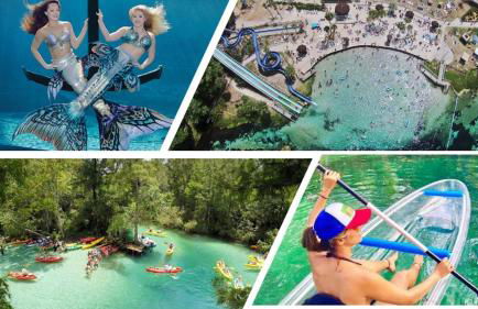 Cozy 3-bed home close to beautiful beaches. - Photo 31