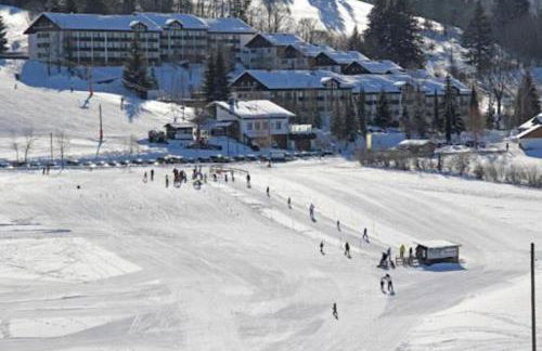 Ferienwohnung AllgäuGlück im Ferienpark Oberallgäu mit Hallenbad, Sauna, WLAN - Foto 15