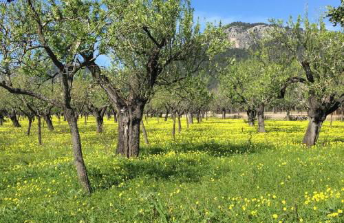 Apartment BEACH & RELAX - Photo 41