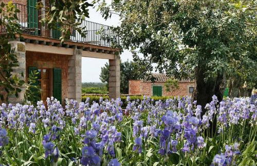 Son Bernadinet - Foto 37