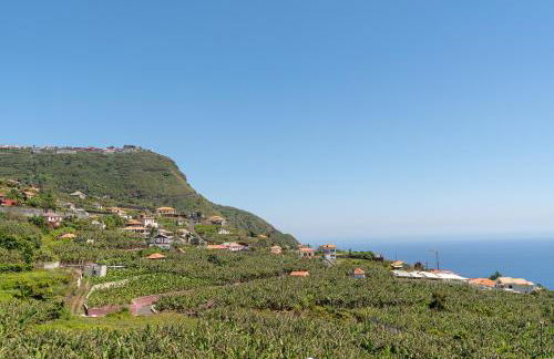 Apartment Annie 2 - Photo 30