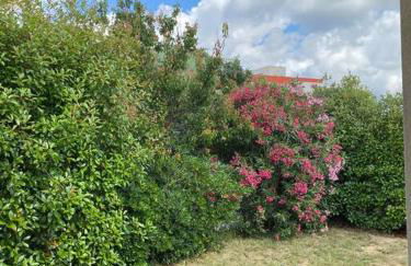 Jolie villa avec piscine - Foto 14