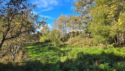 Bayo - terra essentia - Photo 4