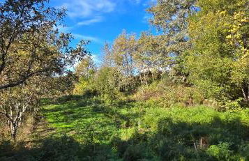 Bayo - terra essentia - Foto 4