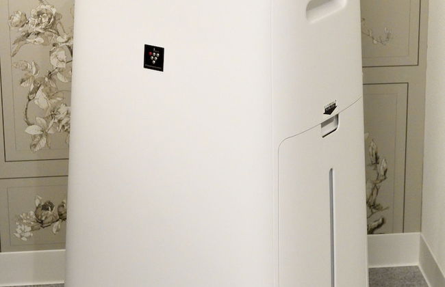 Amistad Hotel Fukuoka - Foto 30