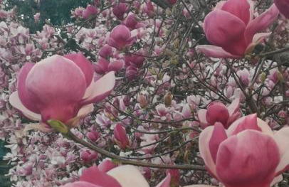 Casa Vacanze La Formica - Foto 33