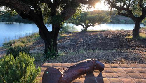 Fontes - A essência do Alentejo com lago privado - Foto 4