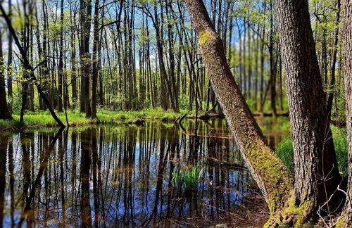 Domki Na Wzgórzu - domek nr 1 - Foto 26