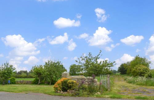 Ervine Cottage - Photo 26