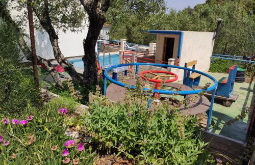 Iva Lavanda - Photo 5