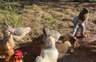 Copper Creek Farm - Foto 16