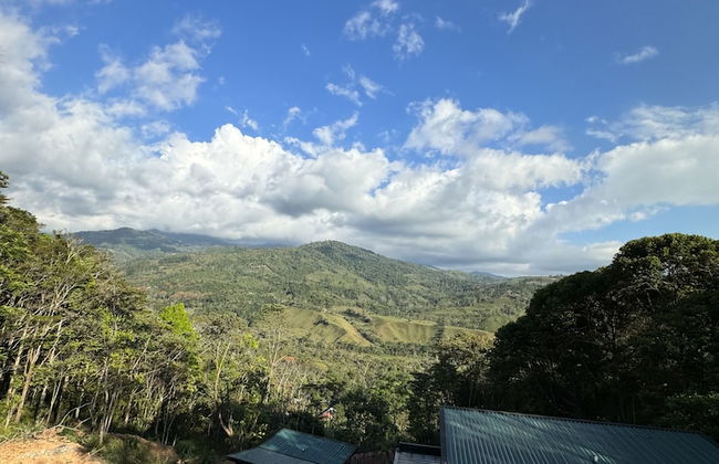 Casa de los Kobiera - Foto 56