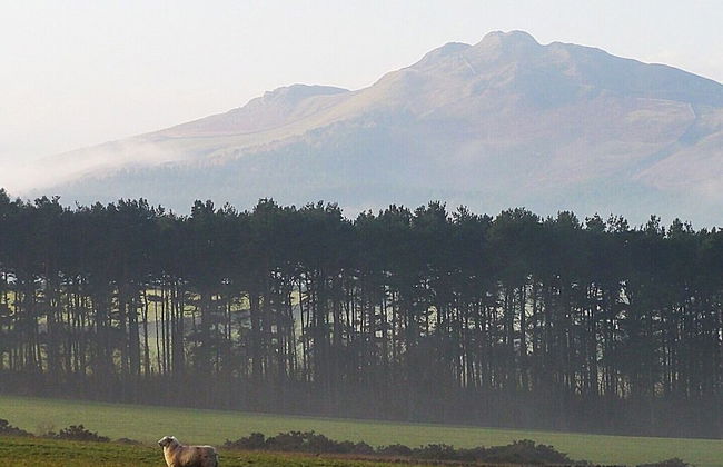 Larkhall Burn - Foto 41