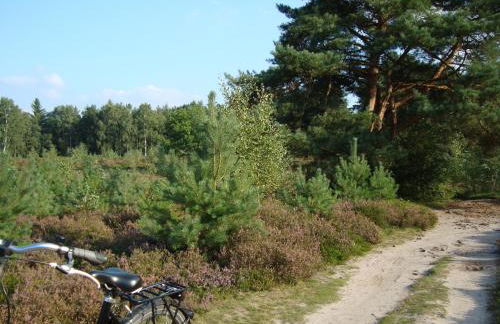 Strandlust II - Foto 55