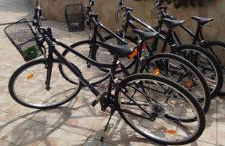 Villa Rosa - Foto 50