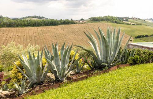 Villa Agavì - Photo 35