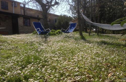 Agriturismo Via del Campo - Foto 23