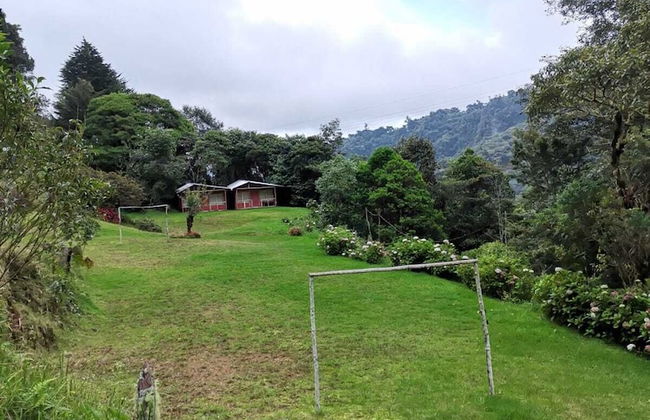 Millar de Aves - Foto 11