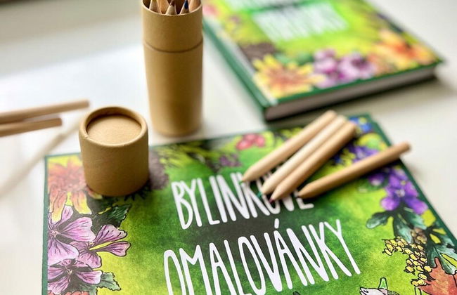 Doksy Ldma001 in Doksy - Foto 33