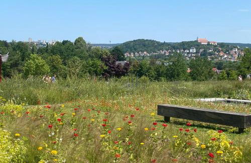 RHÖN GLÜCK - Die Ferienwohnung mit Weitblick - Foto 25