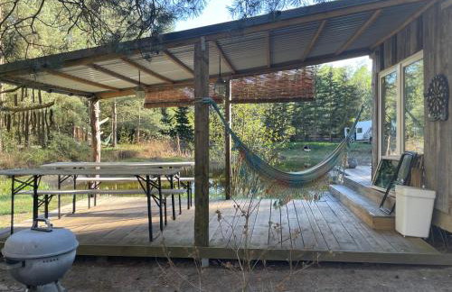 SHROOM & WATER chill calm nature - Foto 4