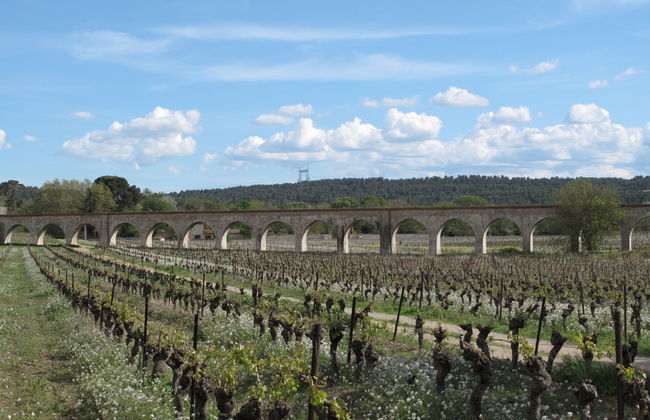 Port Minervois - Foto 30