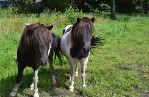 Ferienwohnung Süderfeld - Foto 74