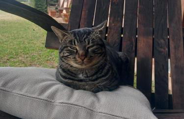 Agriturismo Gli Archi - Foto 68