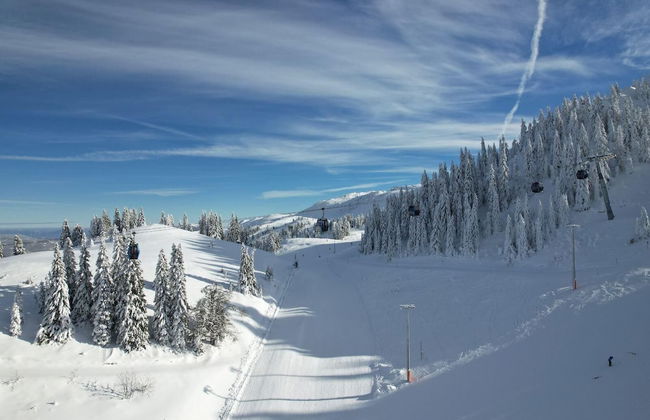 Snjezna dolina Resort - Foto 27