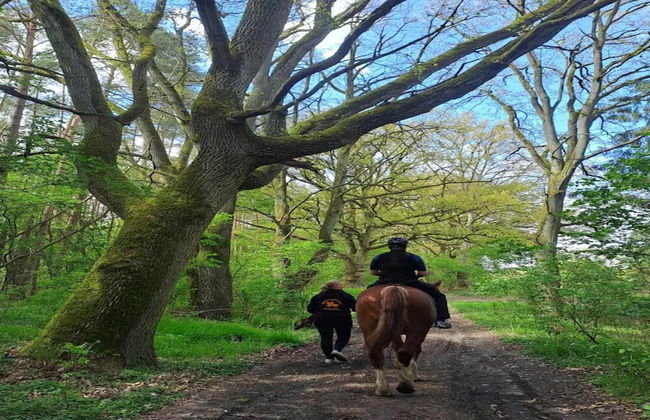 Chalet, Wendorf - Foto 72