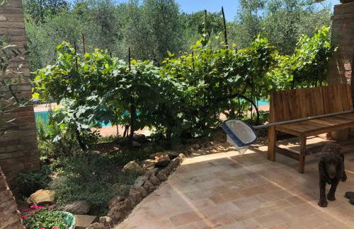 Agriturismo San Giusto - Foto 35