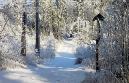 Ferienwohnung Reifberg - Photo 40