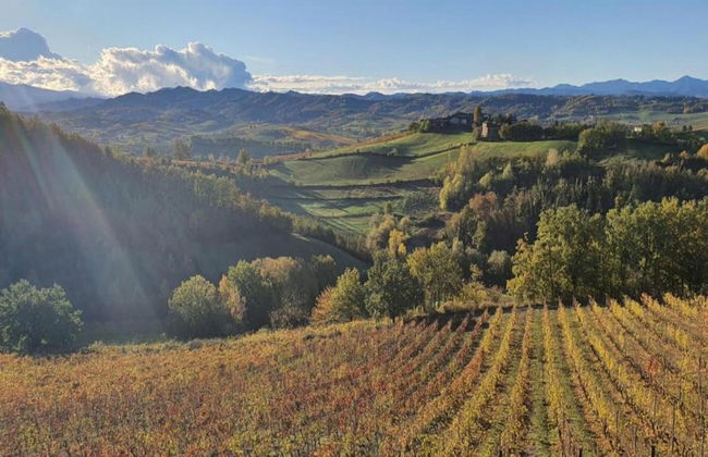 Spacious Hillstay, Piedmont - Foto 34