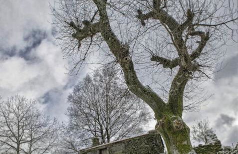 Casa da Fonte - Branda da Aveleira - Foto 33