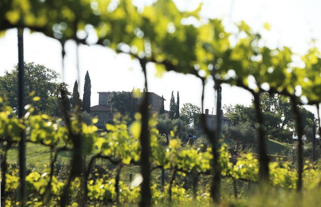 Agriturismo Belvedere Pierini e Brugi - Foto 33