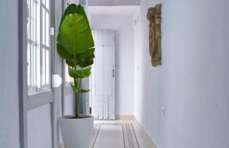 Alojamientos Plaza de España - Foto 52