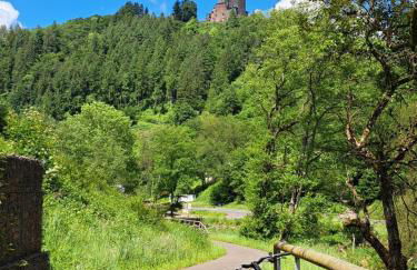 Ferienwohnung "Mosel" - Foto 58