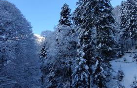 le Ty Cosy Montagnard la Mongie - Foto 16