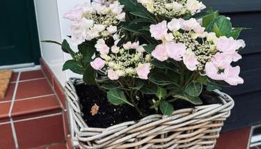 Ferienhaus chez nous - Foto 5