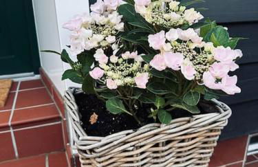 Ferienhaus chez nous - Photo 5