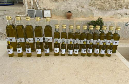 Old stone villa in Apokoronas Villa Nostalgia Kreta - Foto 45