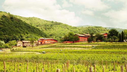 Agriturismo l'Uva e le Stelle - Photo 2