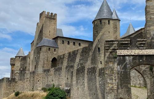 Mas Vigneron - Foto 15