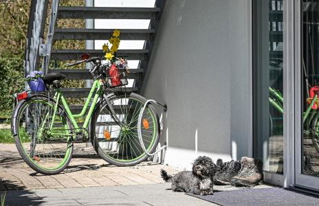 Apartment mit überdachter Terrasse 7 7 EG - Foto 16