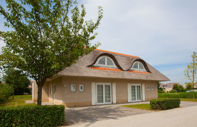 Citta Romana - Photo 10