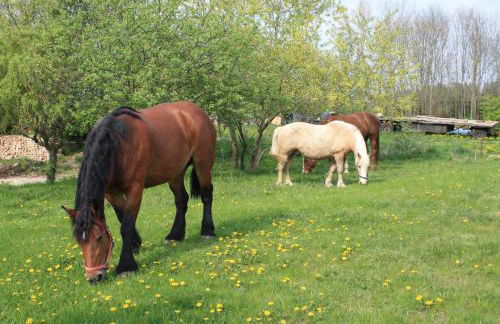 Landhaus Questin - Photo 31