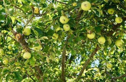 Capitol Retreats-views! Near Salt Palace,sleep 28 - Foto 38