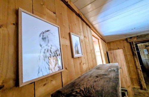 Le refuge de Marius - logement de colpoteur - Foto 28