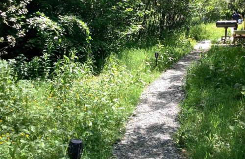 The Charcoal Hut woodland retreat - Foto 12